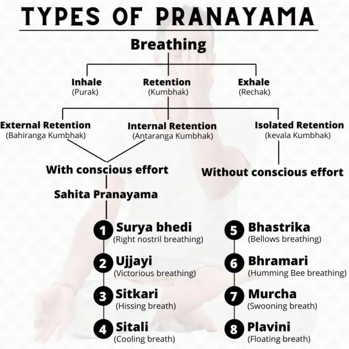 How Many Pranayamas Are There